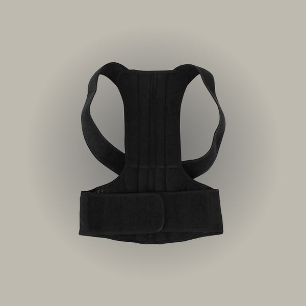 Back Bone Support