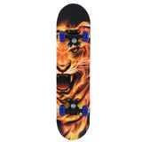Skate Board Cruiser
